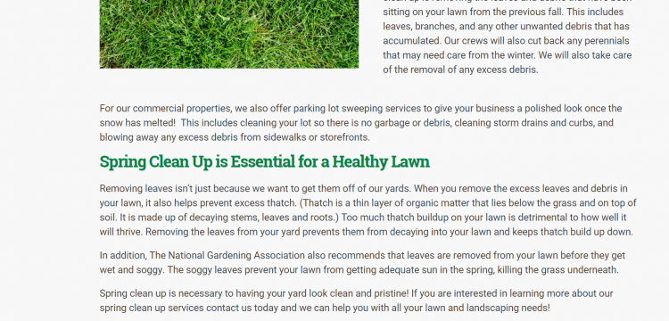 Spring Clean Up Landing Page